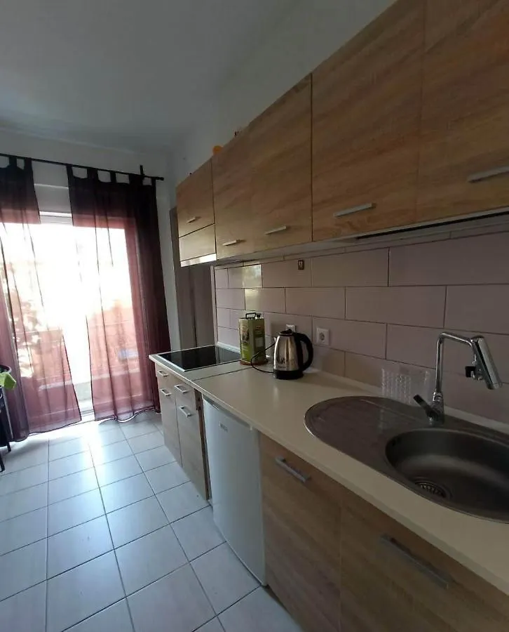Great Apartment Nea Kallikrateia